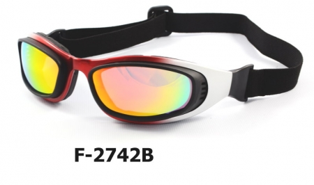 F-2742B  Bike goggle