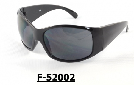 F-52002 Safety Sunglasses