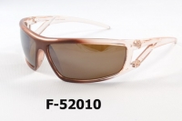 F-52010 Safety Sunglasses