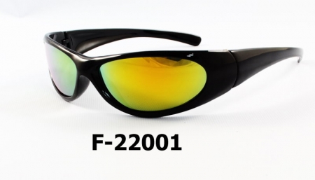 F-22001 Safety Sport Eyewear