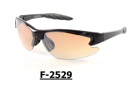 F-2529 Safety Sport Eyewear