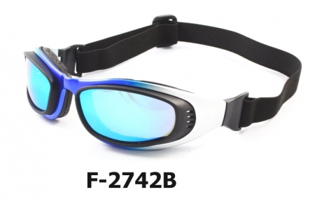 F-2742B  Bike goggle