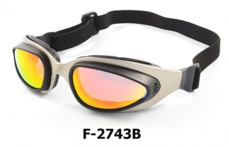 F-2743B Bike goggle