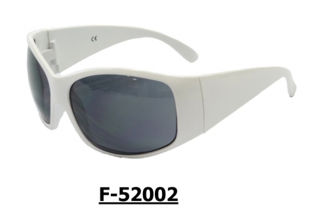 F-52002 Safety Sunglasses