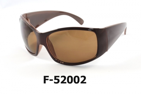F-52002 Safety Sunglasses